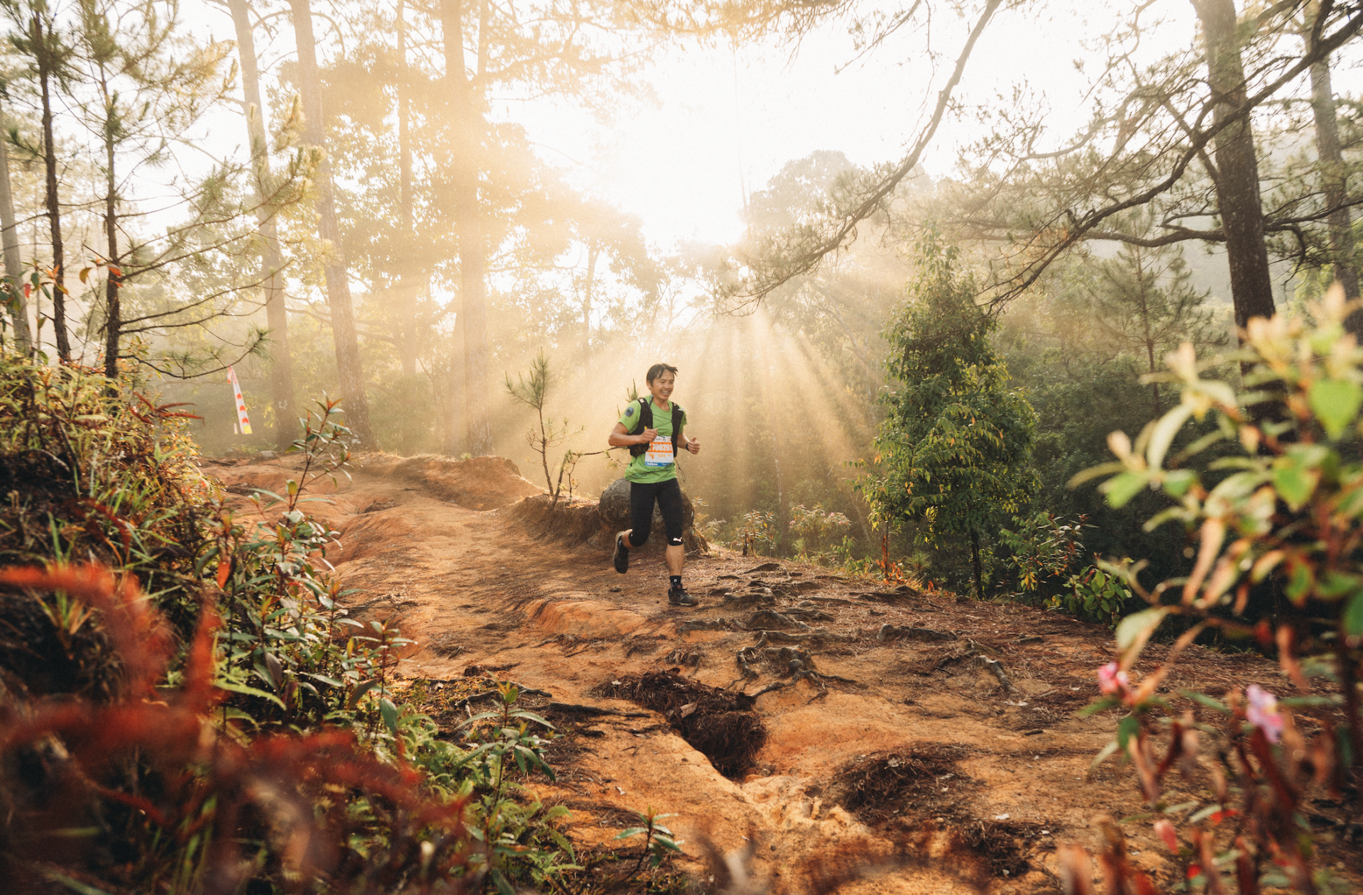 Banner uu dai dao tao moi