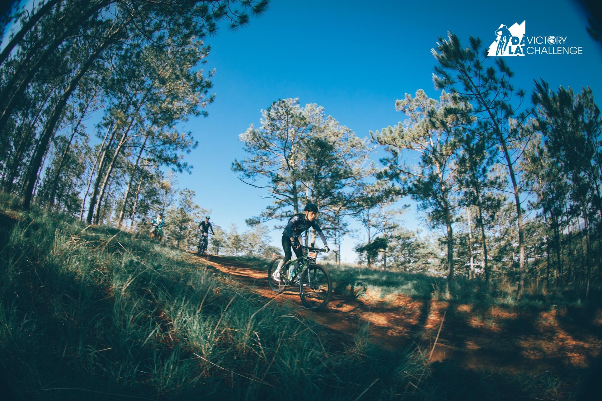 XE ĐẠP ĐỊA HÌNH: HƯỚNG DẪN CHO NGƯỜI MỚI BẮT ĐẦU