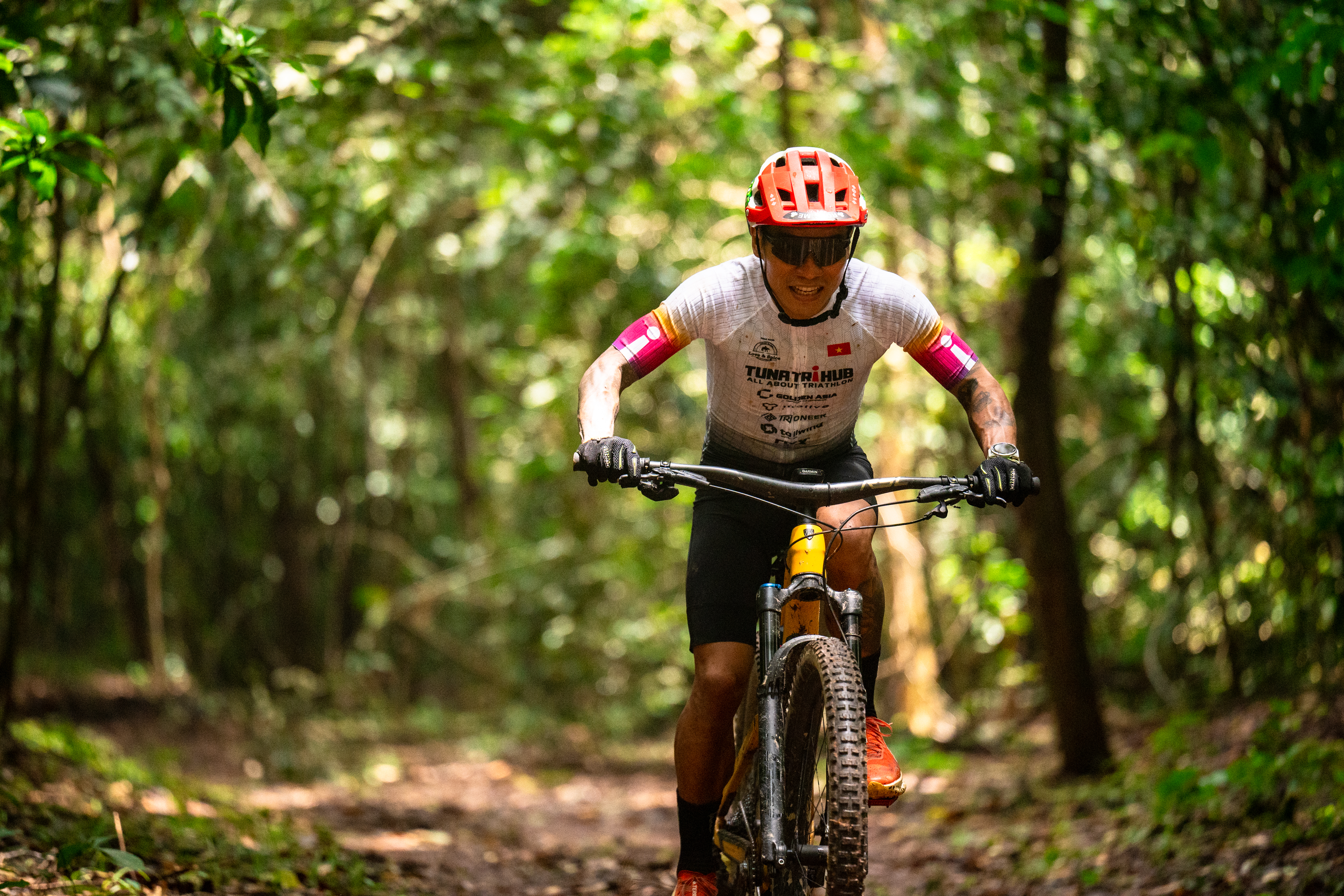 reason-to-go-into-the-forest-for-trail-and-mountain-bike