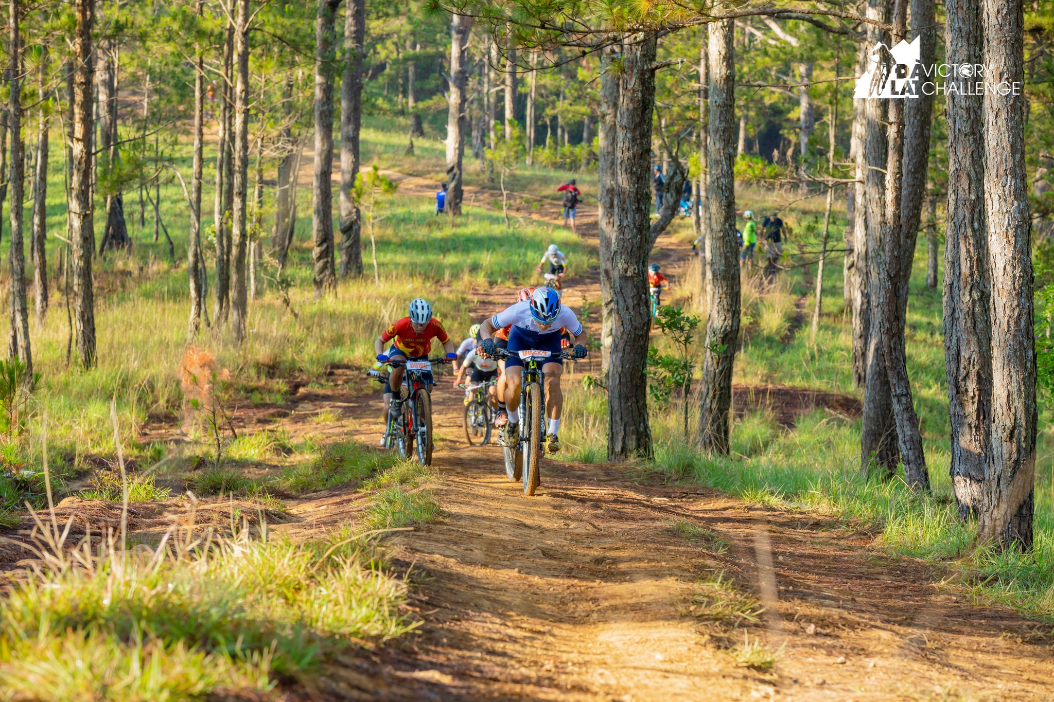 mountain-bike-guide-to-newbie